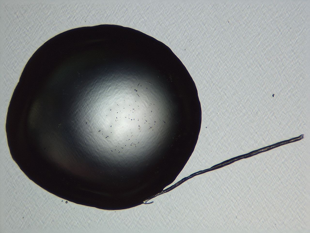 04kl_F8_ImagerDefaults_0.jpg