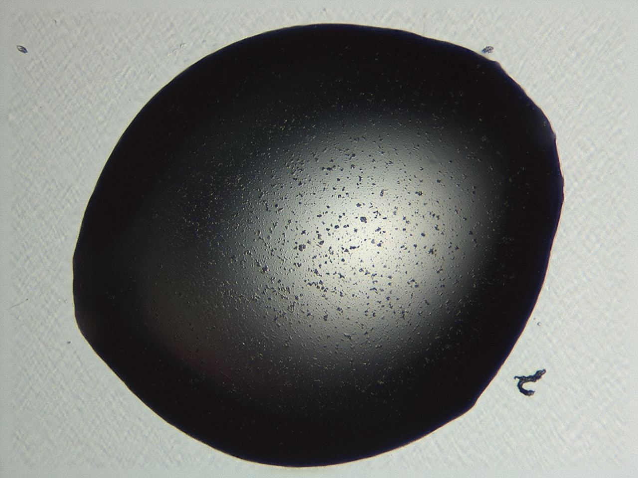 04kl_F9_ImagerDefaults_3.jpg
