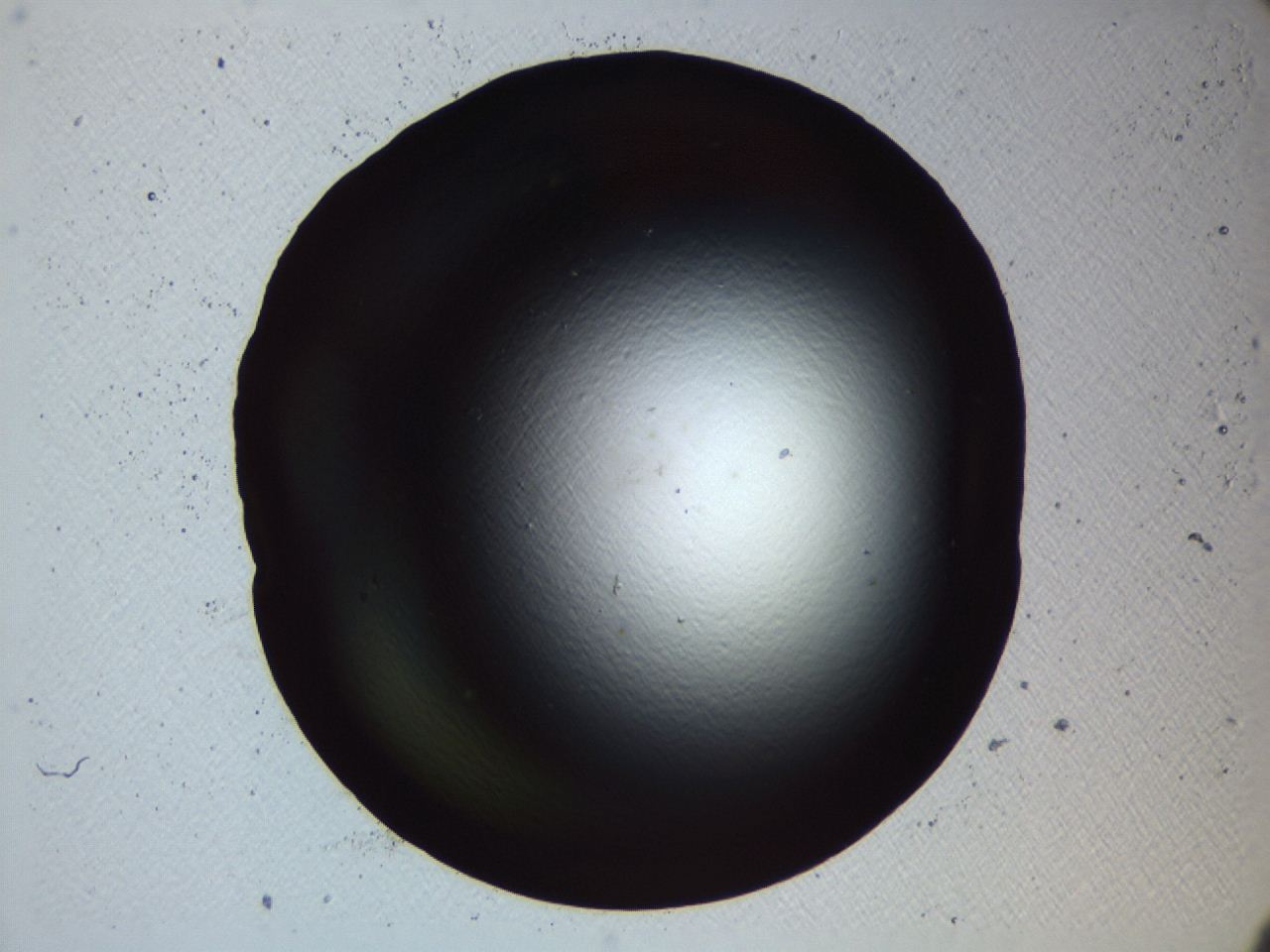 04kl_F10_ImagerDefaults_0.jpg