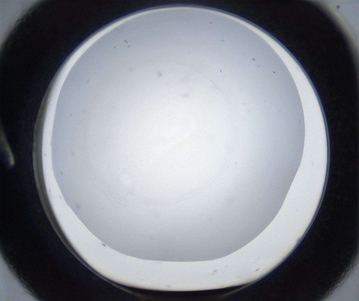 folderID600_plateID3600_batchID22050_wellNum8_profileID1_d1_r321135_ef.jpg