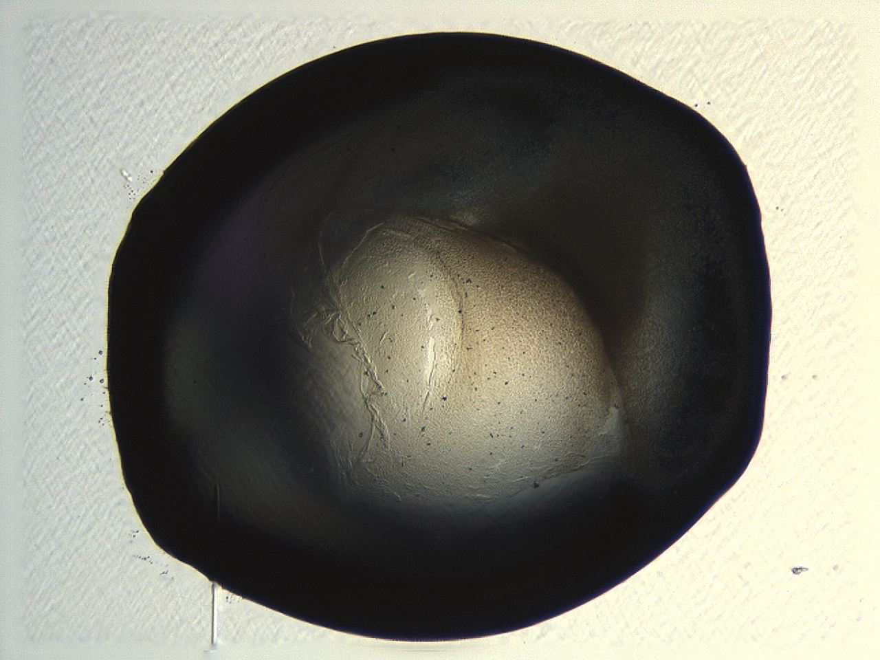 04kl_G3_ImagerDefaults_3.jpg
