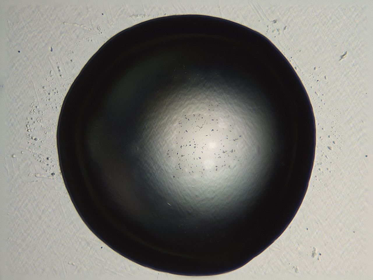 04kl_G8_ImagerDefaults_0.jpg