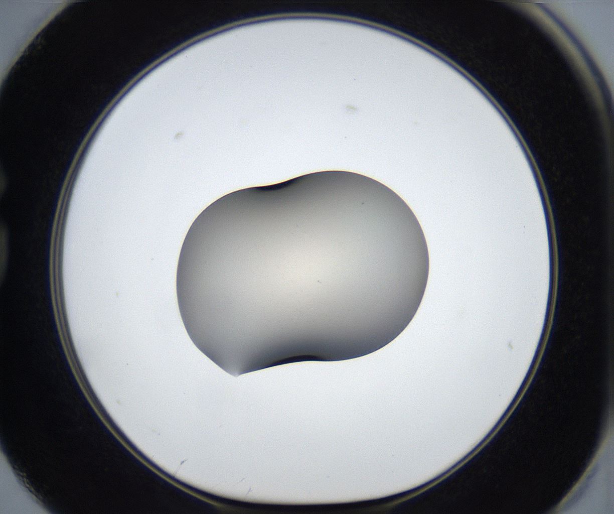 folderID601_plateID3601_batchID21742_wellNum74_profileID1_d1_r321075_ef.jpg