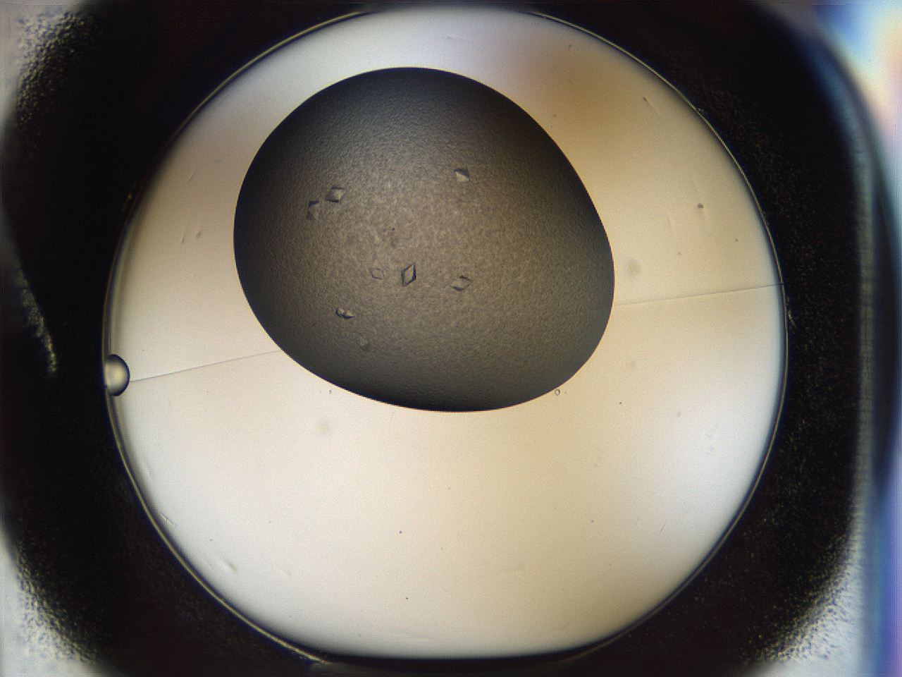 04l3_A1_ImagerDefaults_9.jpg