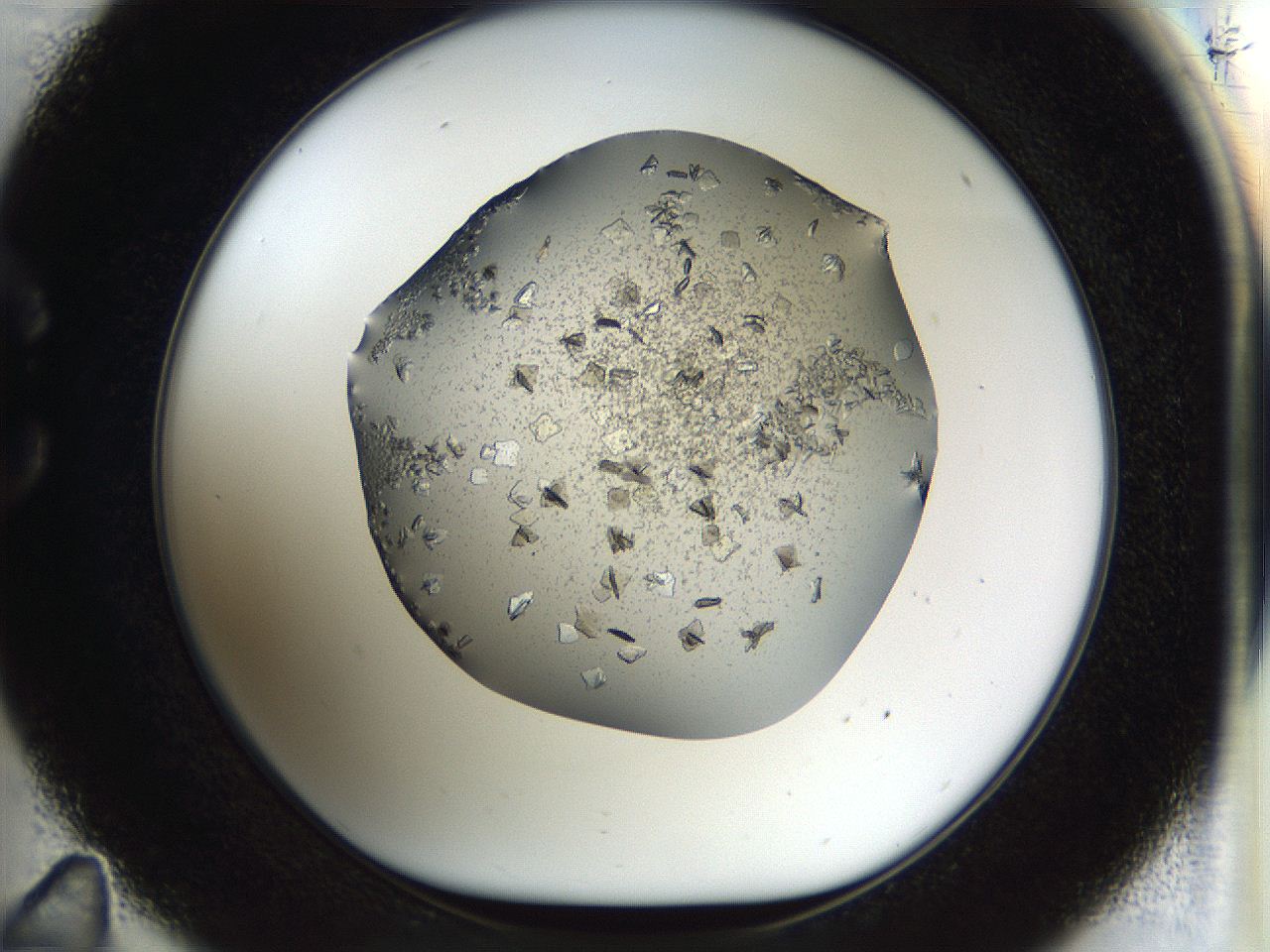 04l4_C11_ImagerDefaults_9.jpg