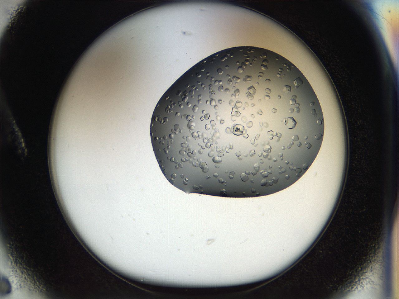 04l4_A6_ImagerDefaults_9.jpg