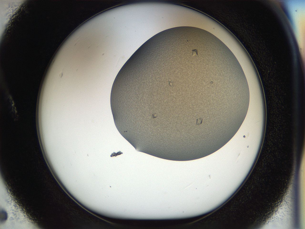 04l4_A5_ImagerDefaults_9.jpg
