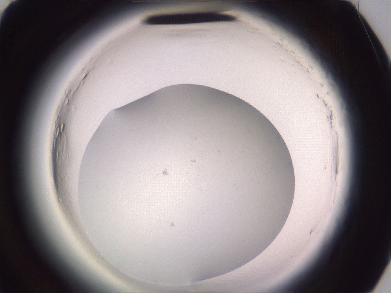 folderID607_plateID2607_batchID12784_wellNum81_profileID1_d3_r204732_ef.jpg