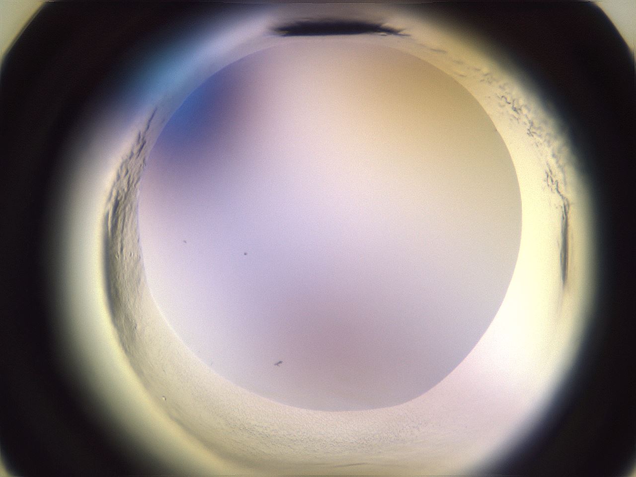 folderID608_plateID2608_batchID12787_wellNum11_profileID1_d3_r204810_ef.jpg