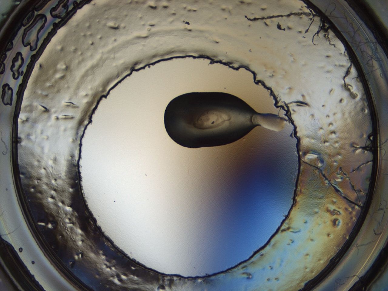 04m4_A5_ImagerDefaults_3.jpg