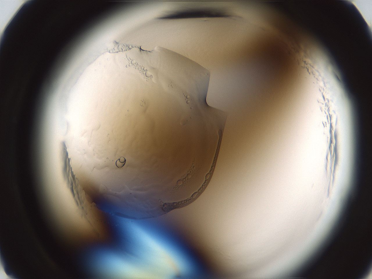 folderID610_plateID2610_batchID15121_wellNum11_profileID1_d2_r206537_ef.jpg