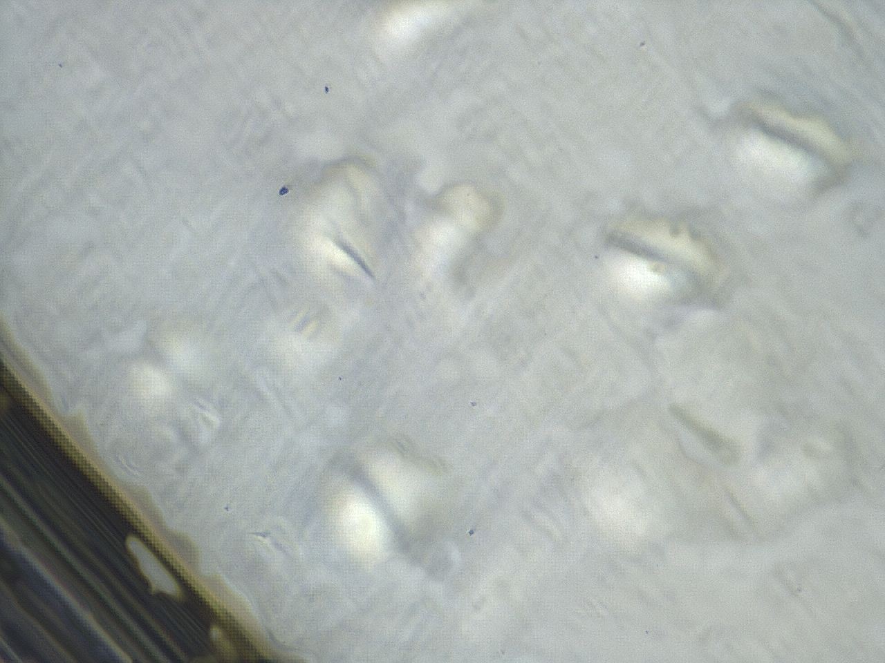 04m4_C11_ImagerDefaults_3.jpg