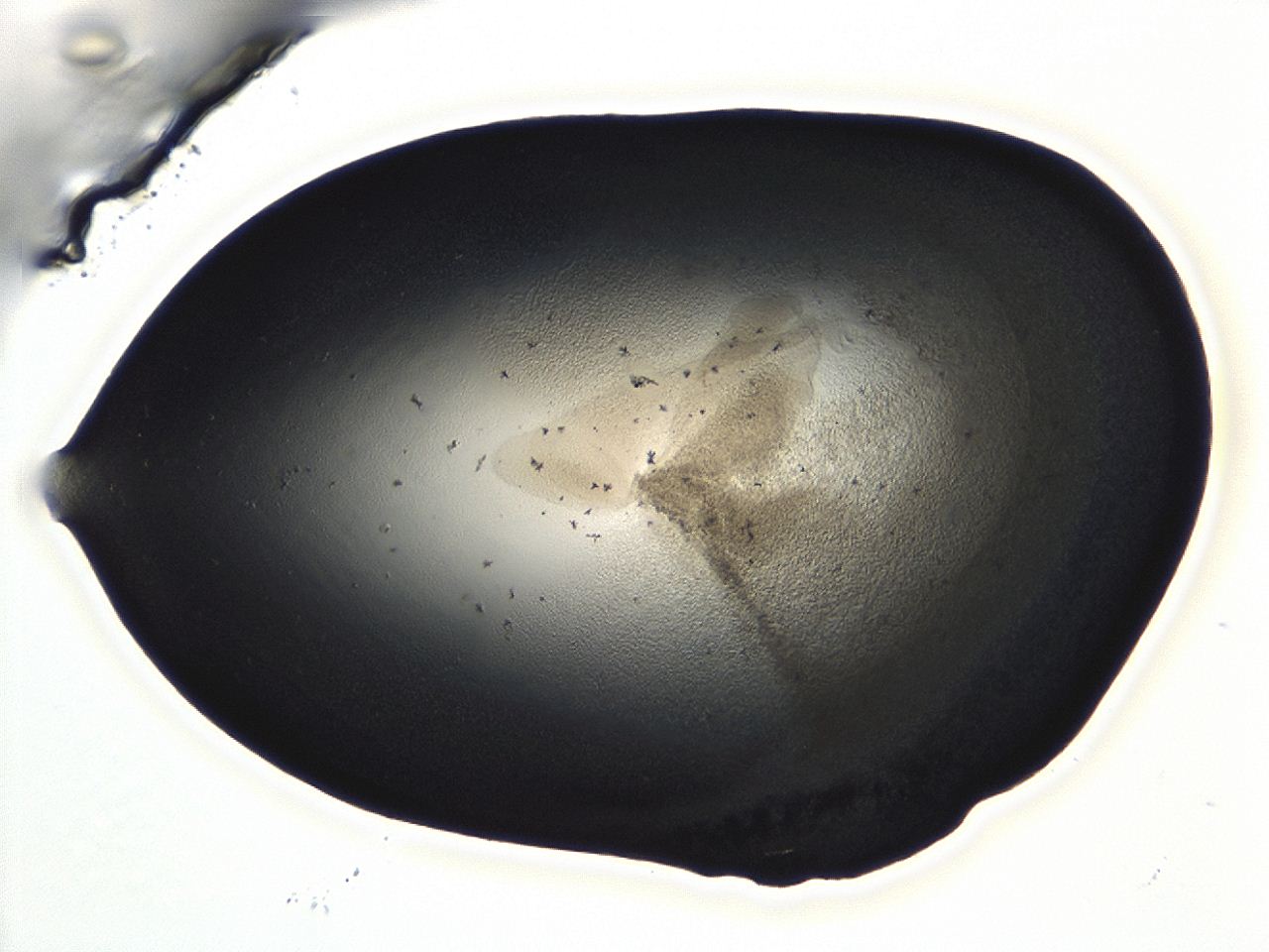04m4_C12_ImagerDefaults_3.jpg