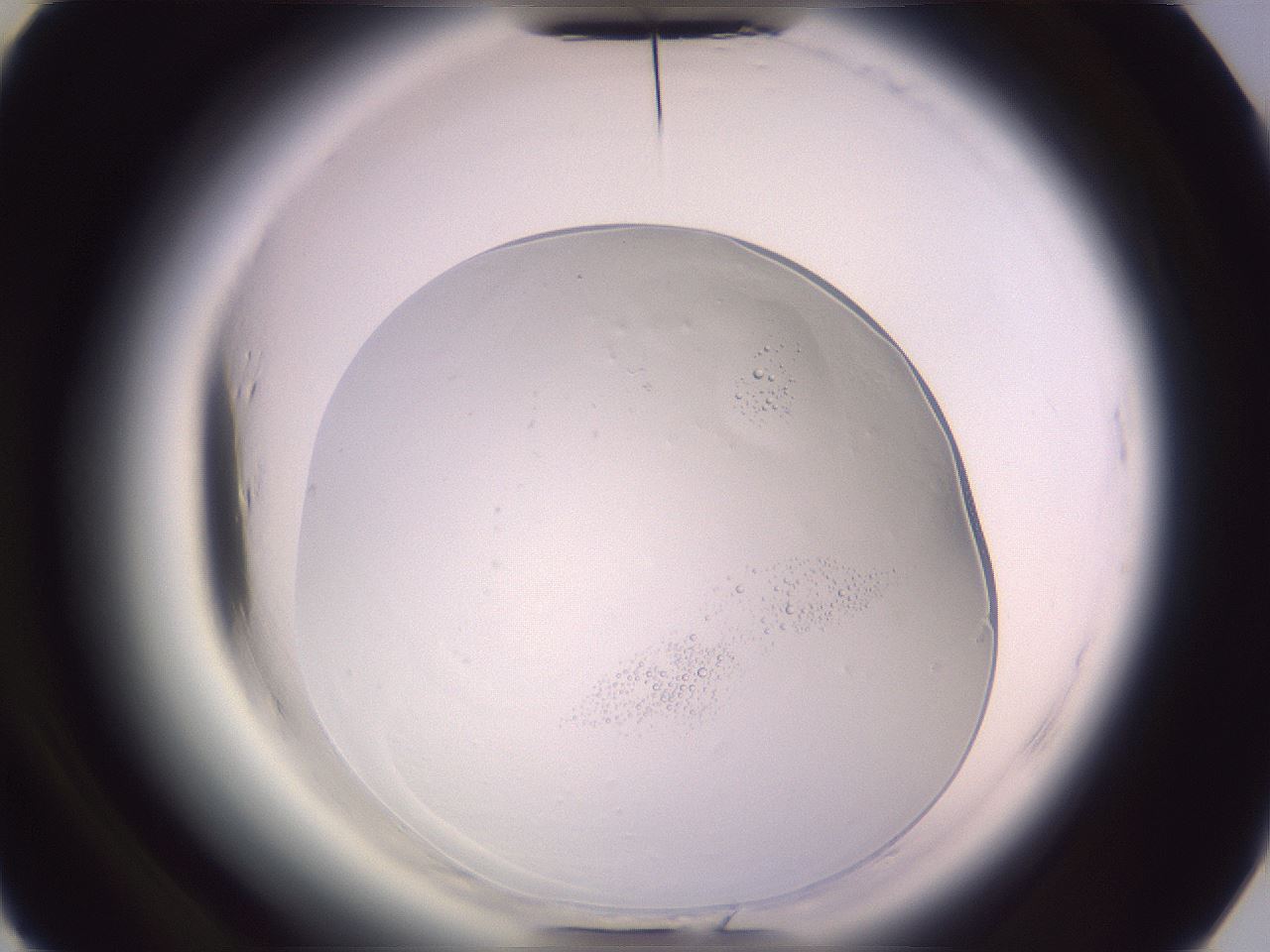 folderID612_plateID2612_batchID12789_wellNum38_profileID1_d3_r205755_ef.jpg