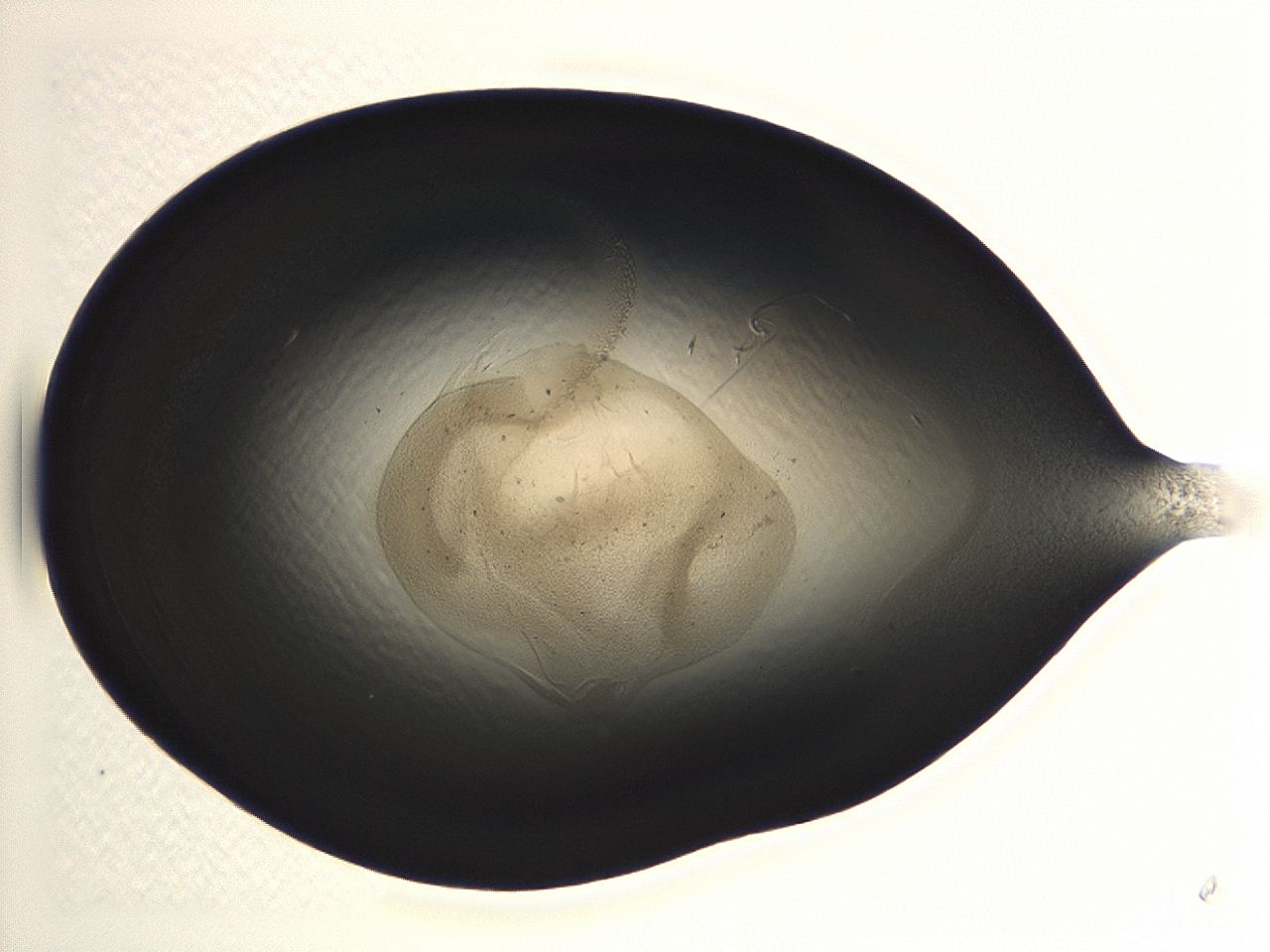 04m4_A11_ImagerDefaults_3.jpg