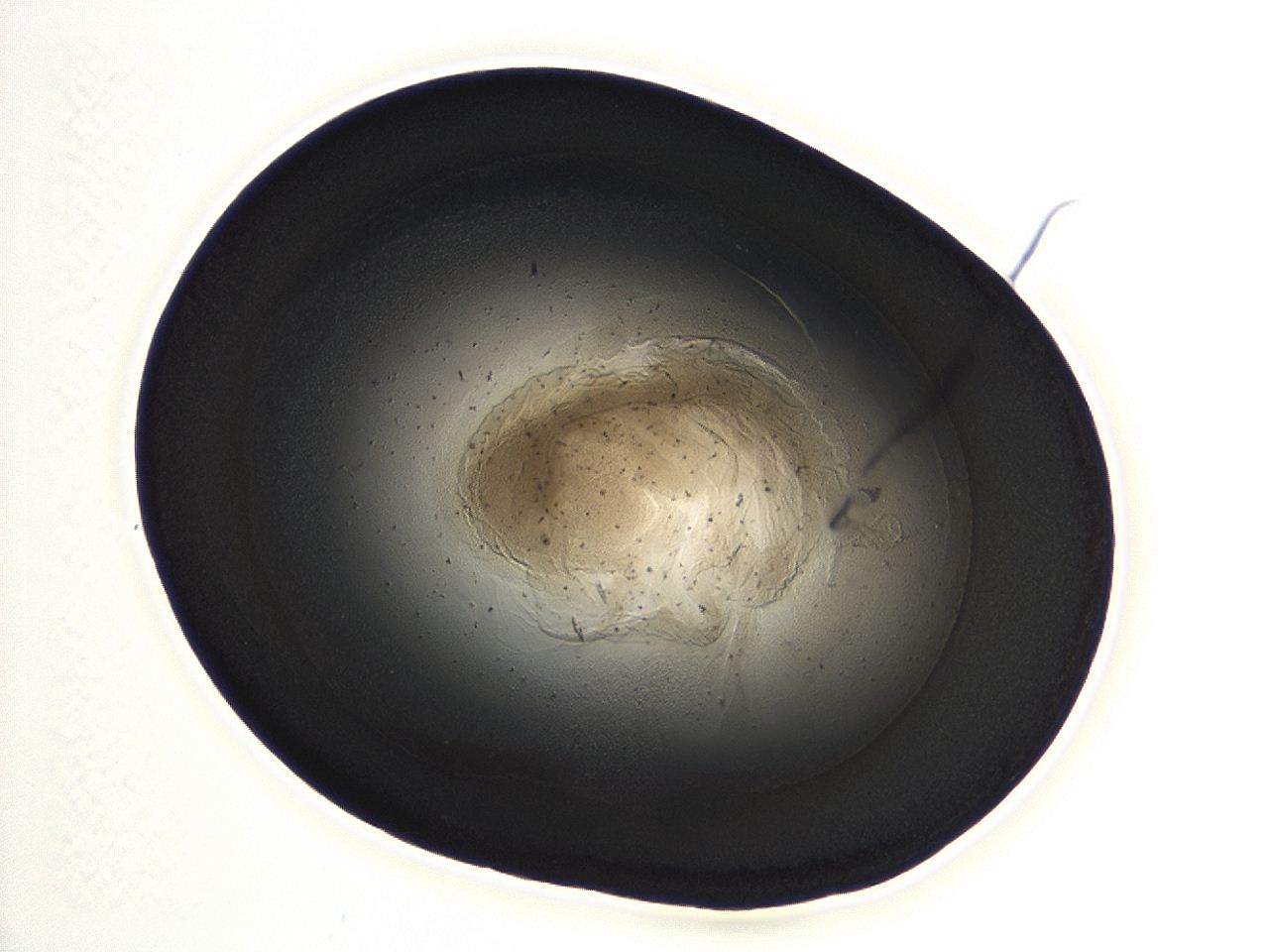 04m4_A12_ImagerDefaults_3.jpg