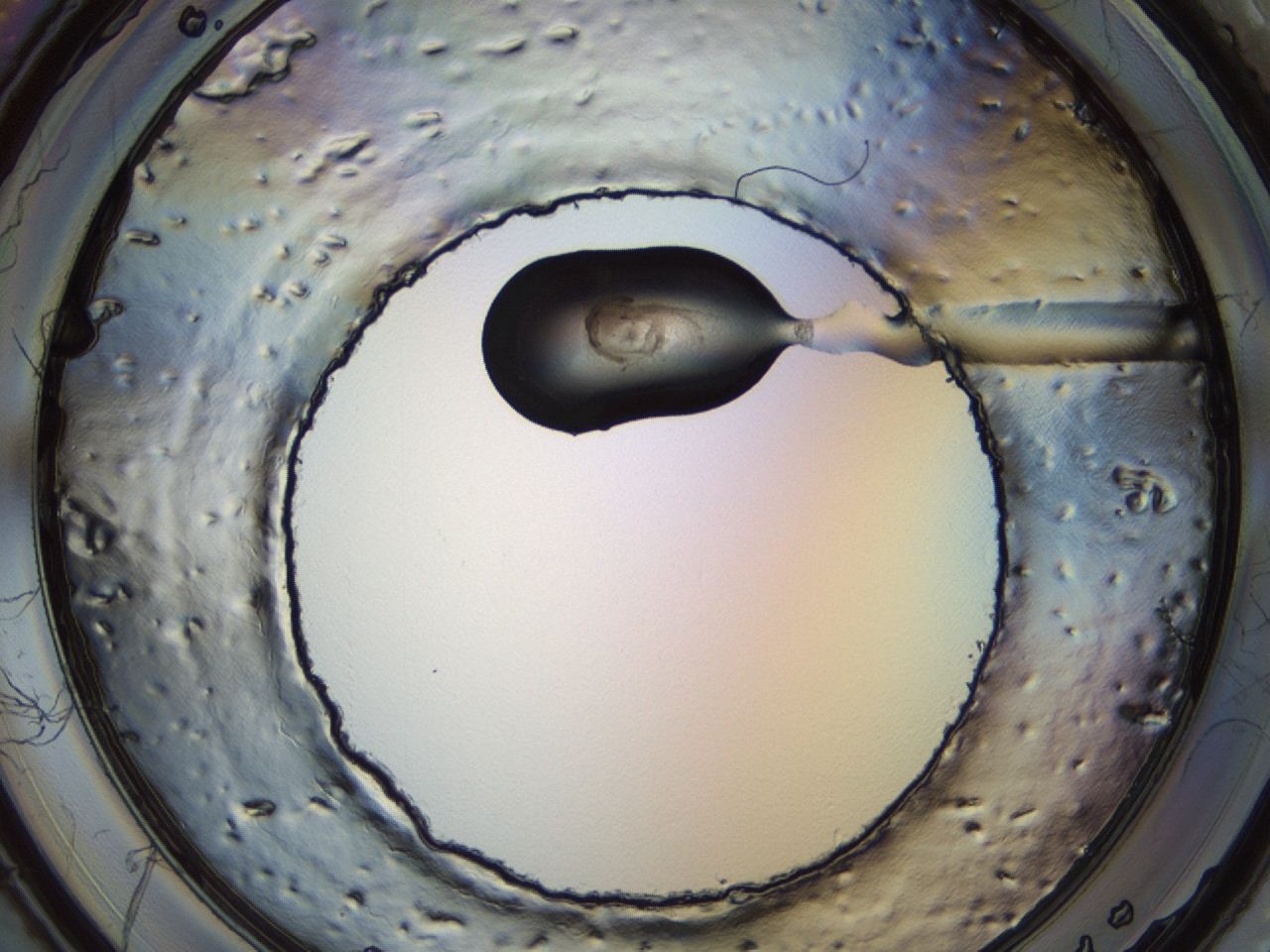 04m4_B5_ImagerDefaults_3.jpg