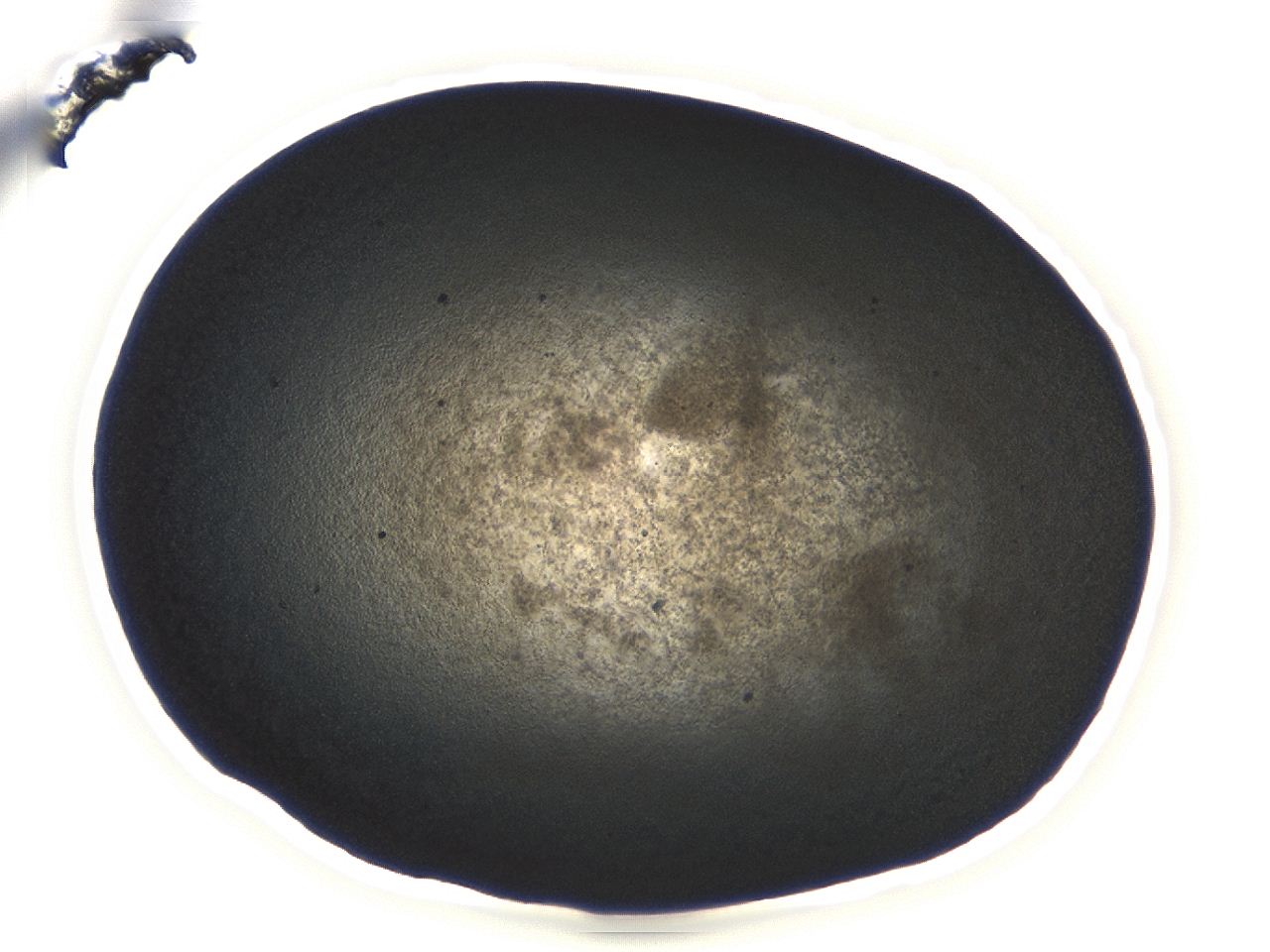 04m4_E1_ImagerDefaults_3.jpg