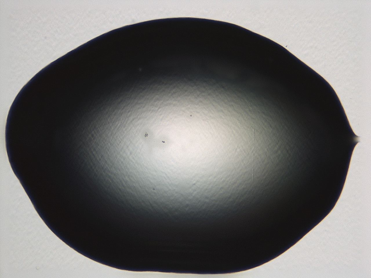04m4_E4_ImagerDefaults_0.jpg