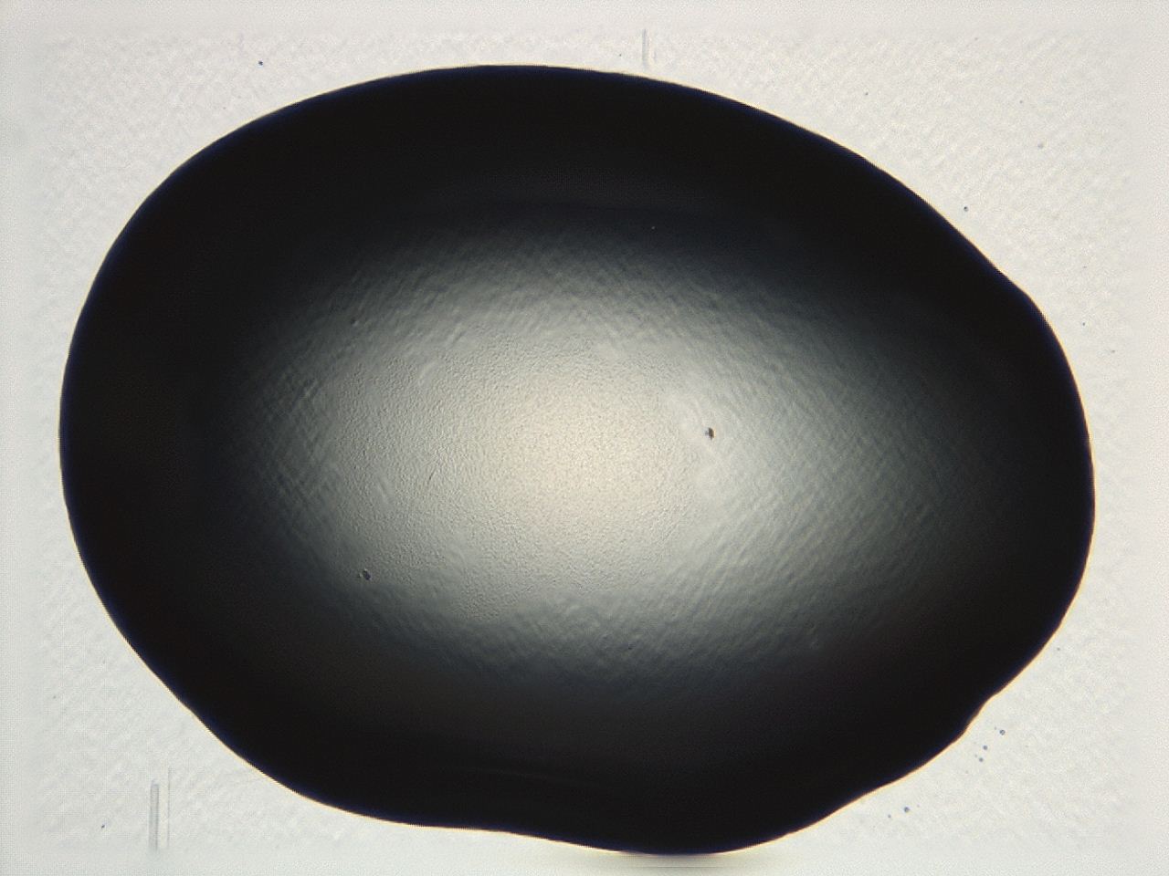04m4_E5_ImagerDefaults_0.jpg