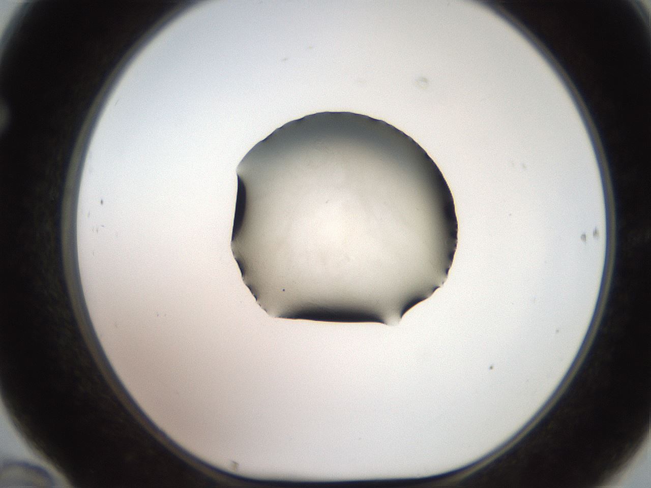 folderID619_plateID1619_batchID6822_wellNum70_profileID1_d1_r107906_ef.jpg