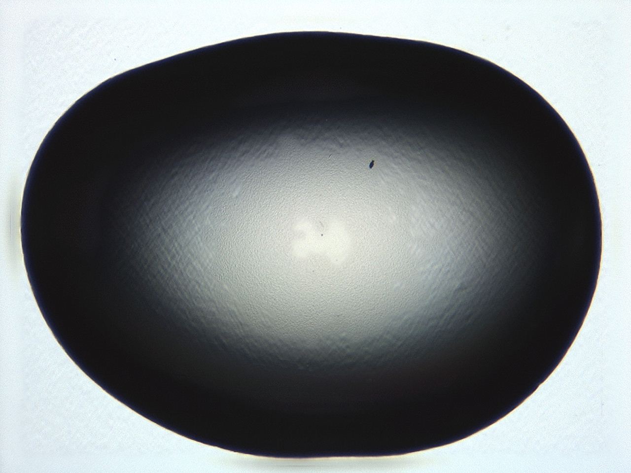 04m4_E6_ImagerDefaults_0.jpg