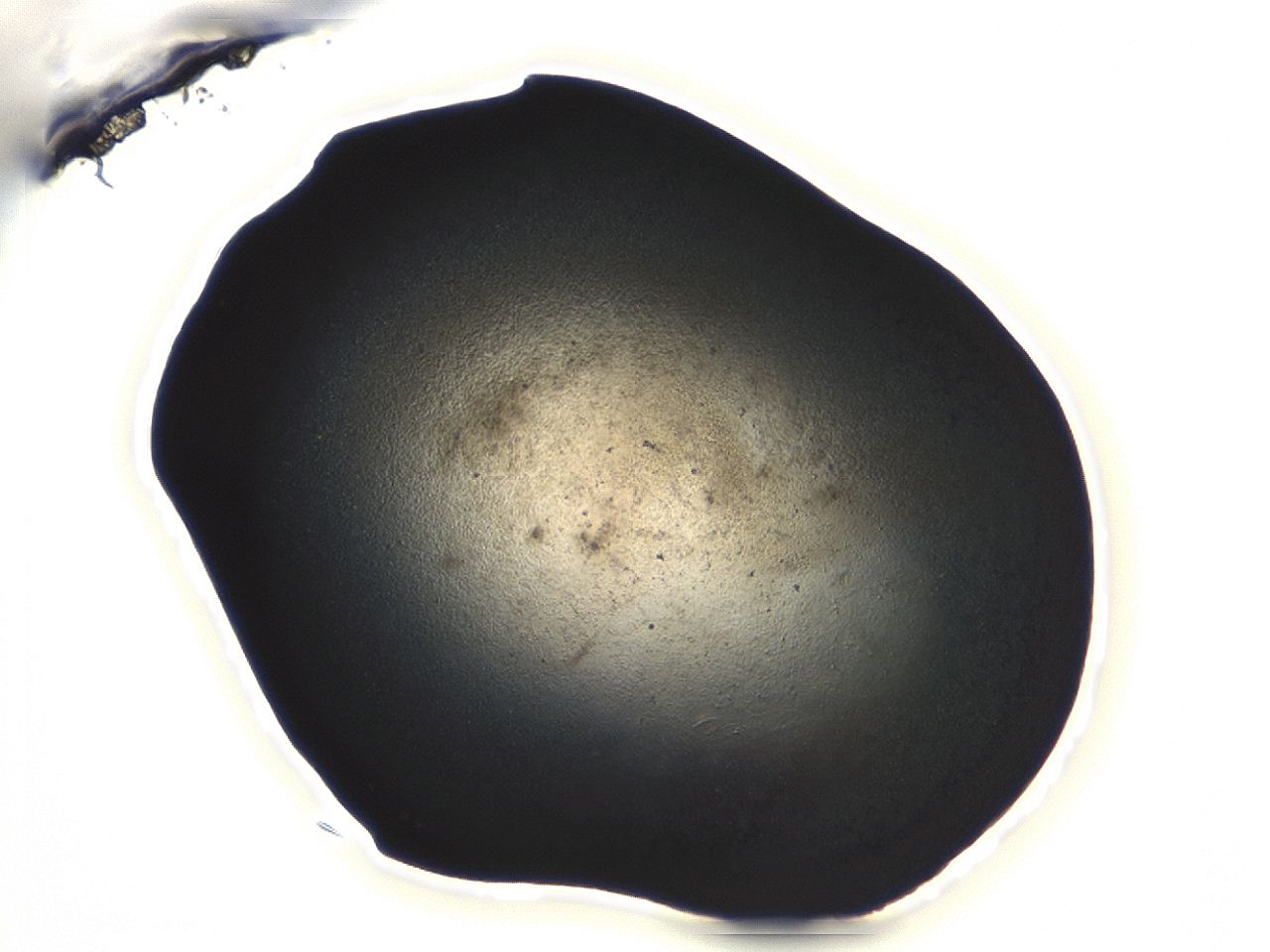 04m4_E7_ImagerDefaults_3.jpg