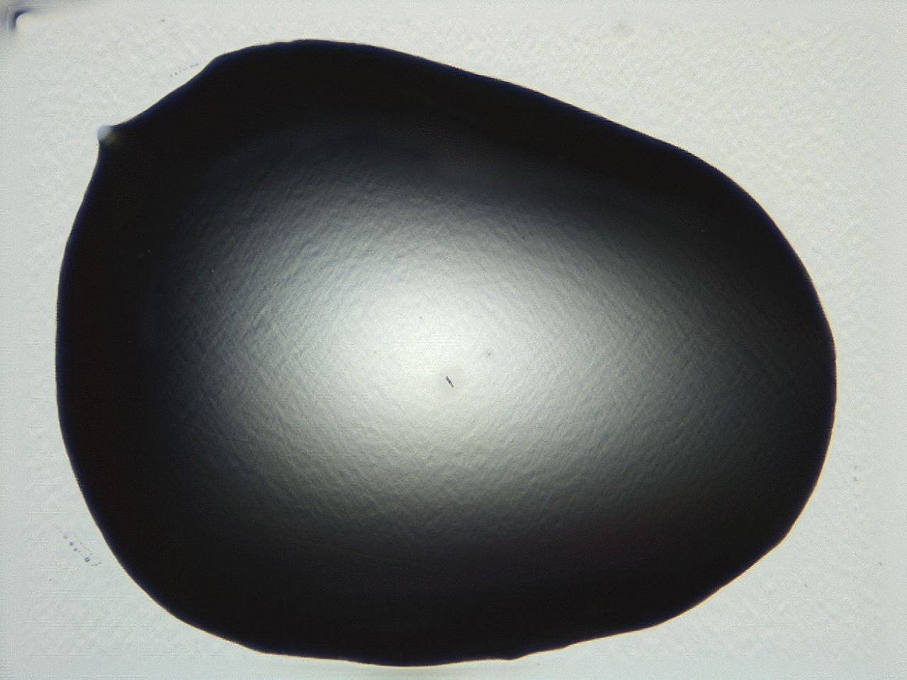 04m4_E10_ImagerDefaults_0.jpg