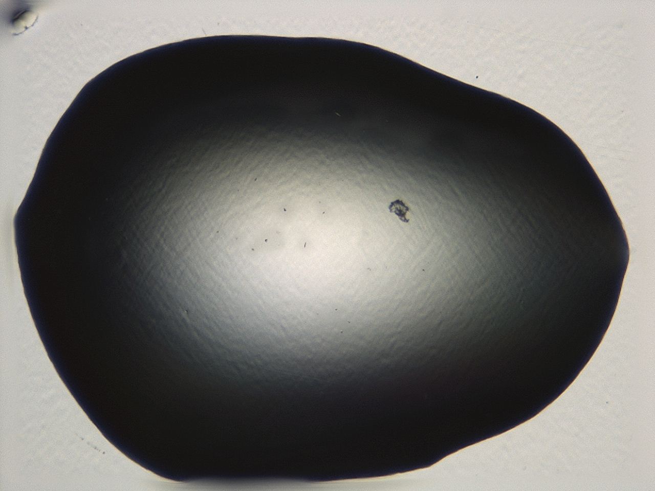 04m4_E11_ImagerDefaults_0.jpg