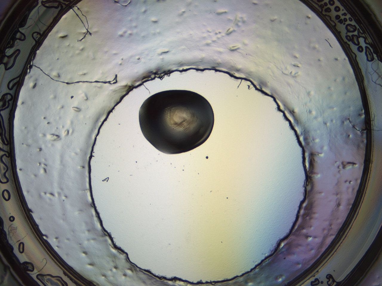 04m4_F1_ImagerDefaults_3.jpg