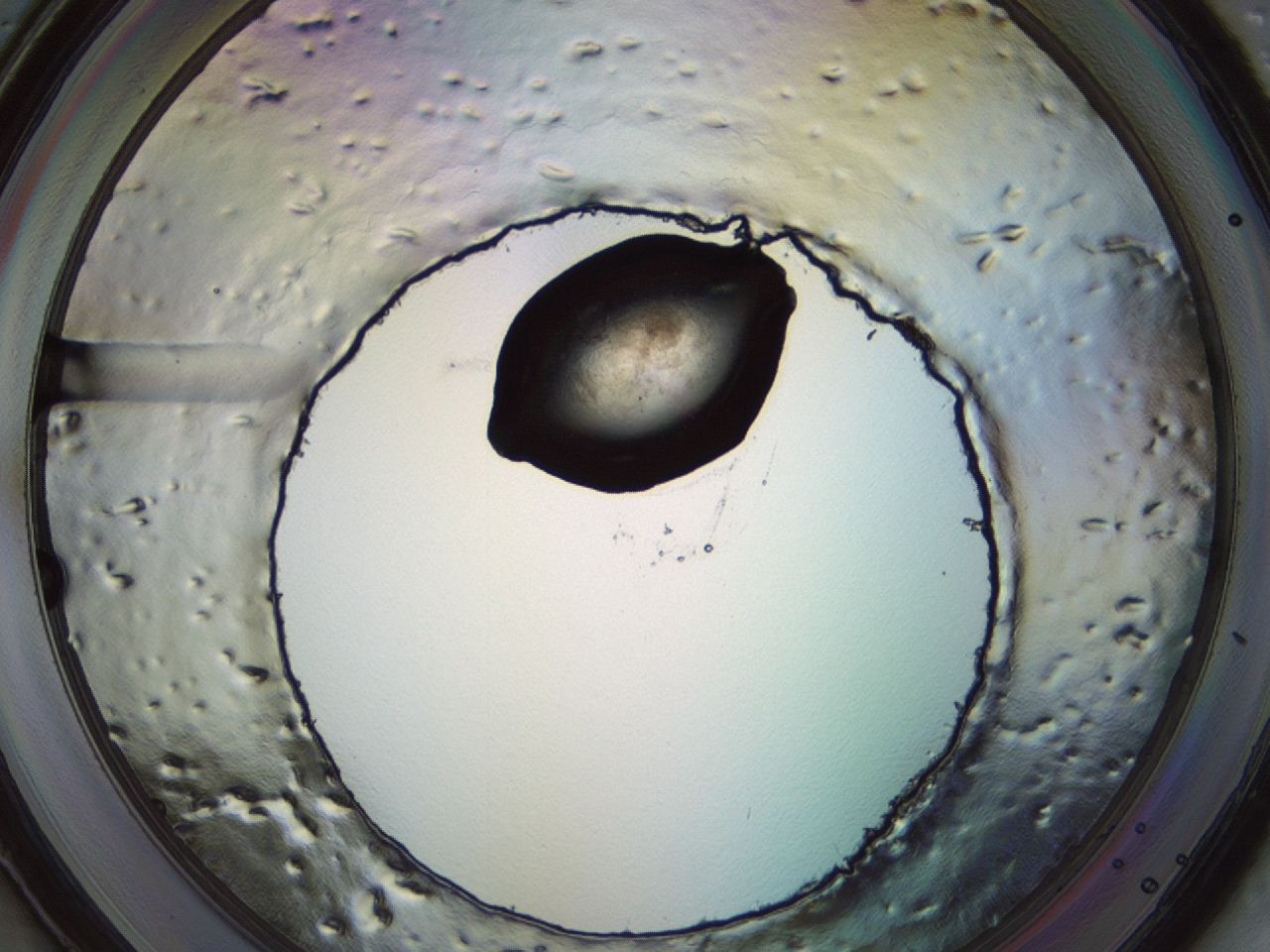 04m4_F5_ImagerDefaults_3.jpg