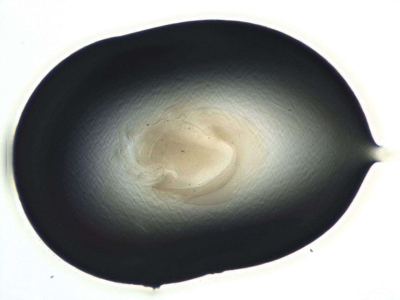 04m4_F10_ImagerDefaults_3.jpg
