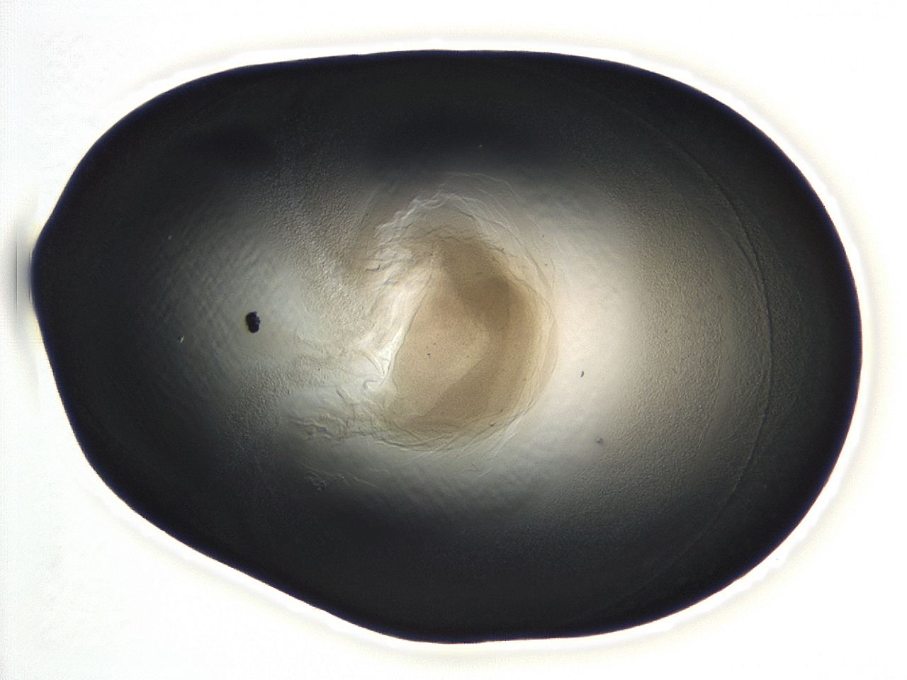 04m4_F12_ImagerDefaults_3.jpg