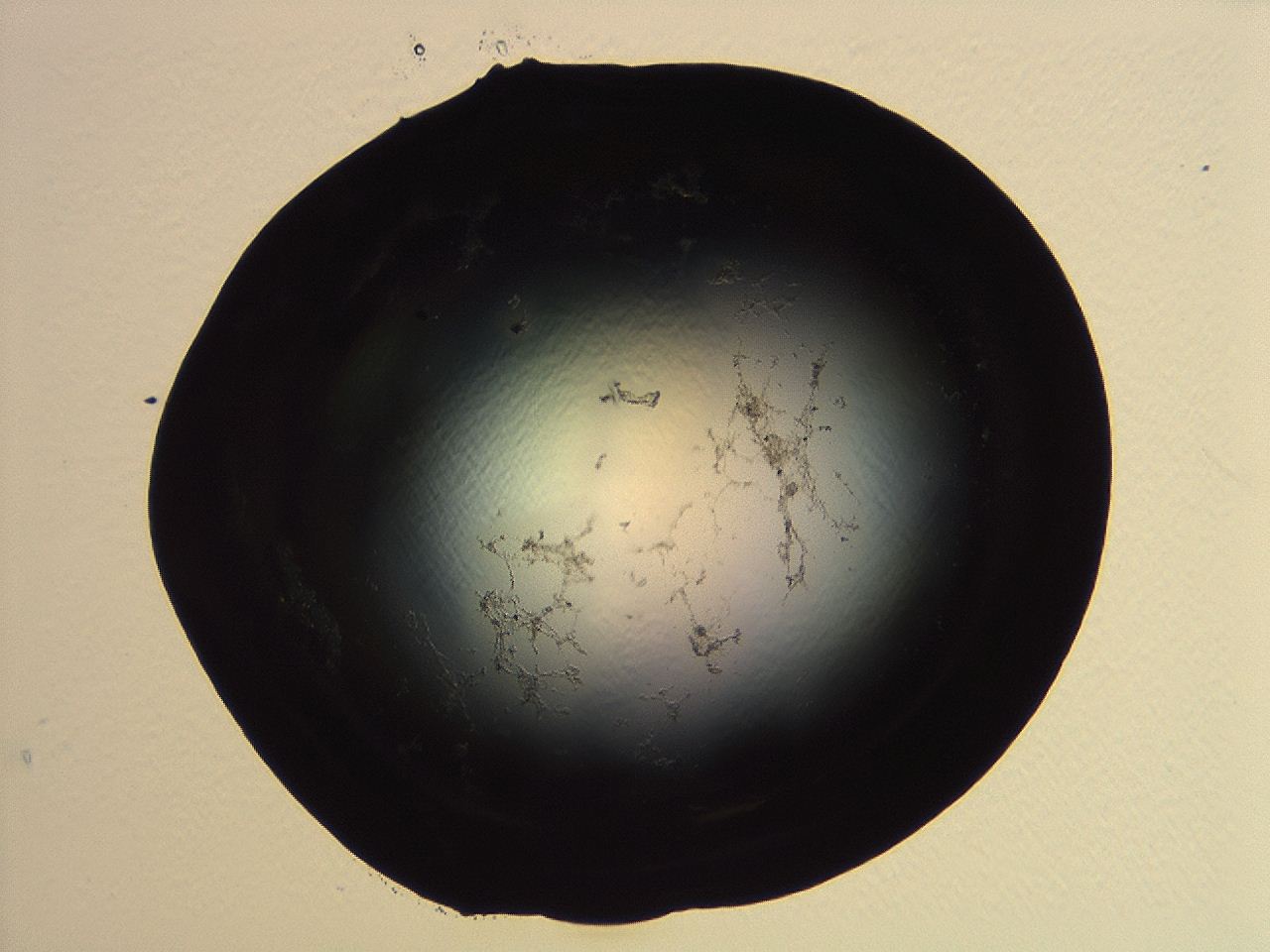 04m4_G2_ImagerDefaults_0.jpg