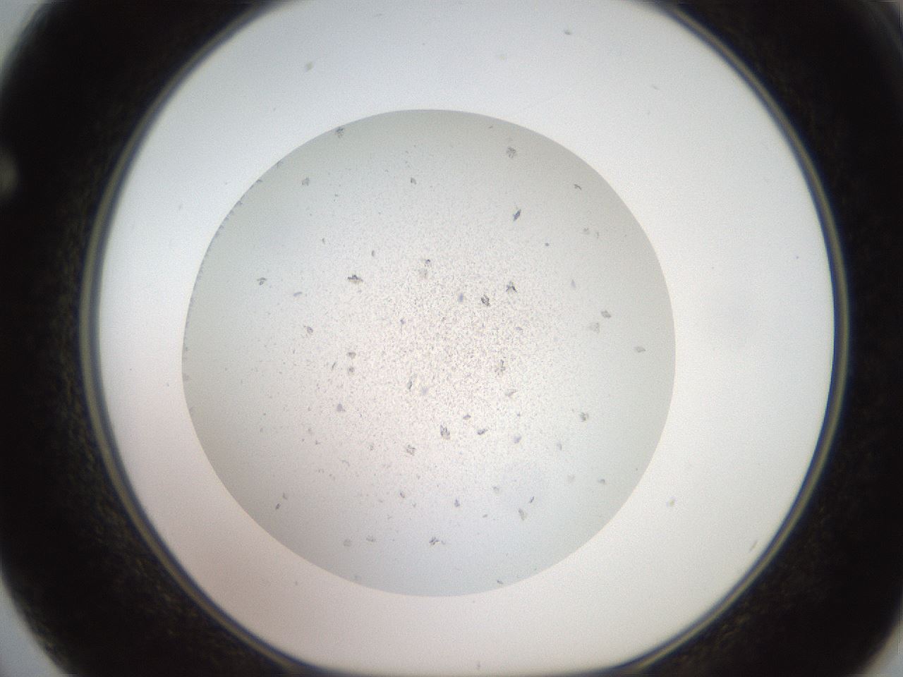folderID629_plateID1629_batchID6860_wellNum62_profileID1_d1_r109008_ef.jpg