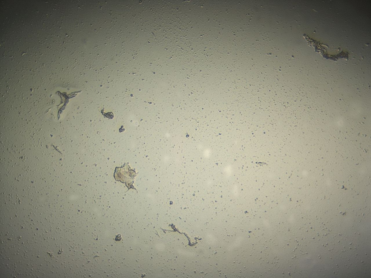 04m4_G10_ImagerDefaults_0.jpg