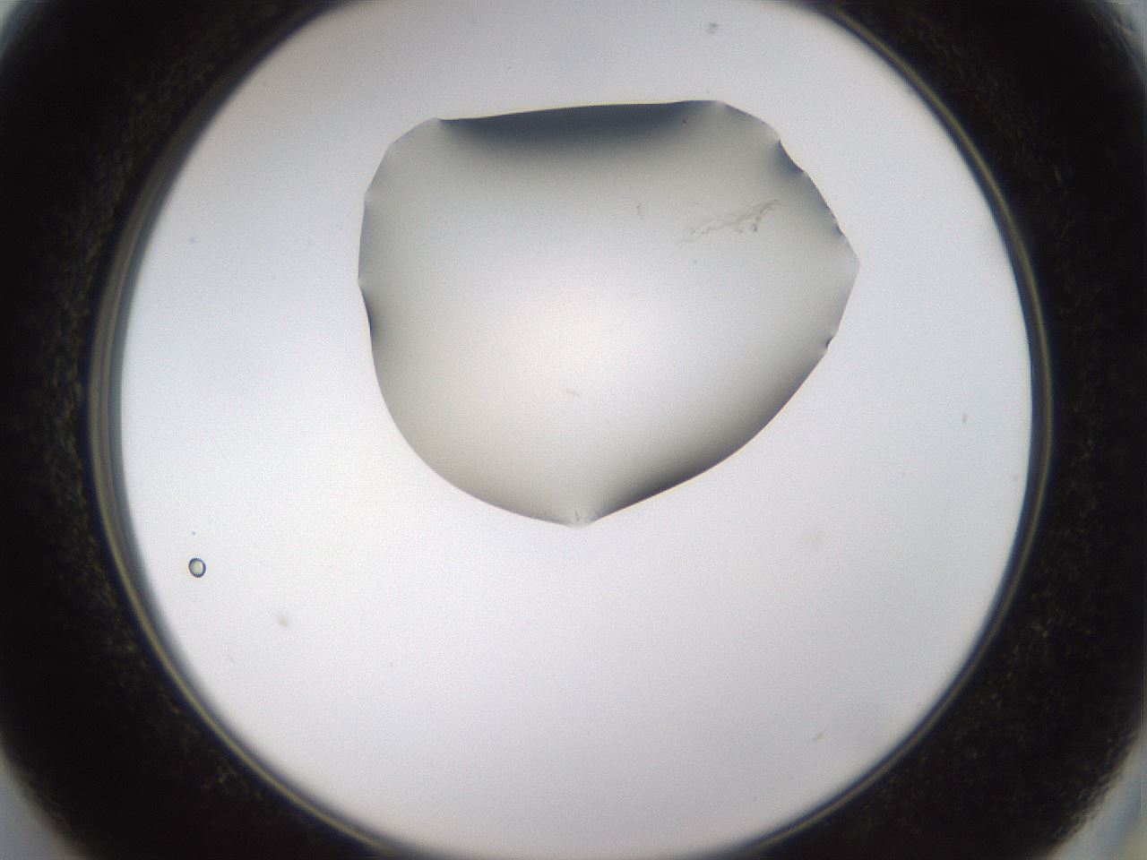 folderID635_plateID2635_batchID12821_wellNum13_profileID1_d2_r210563_ef.jpg
