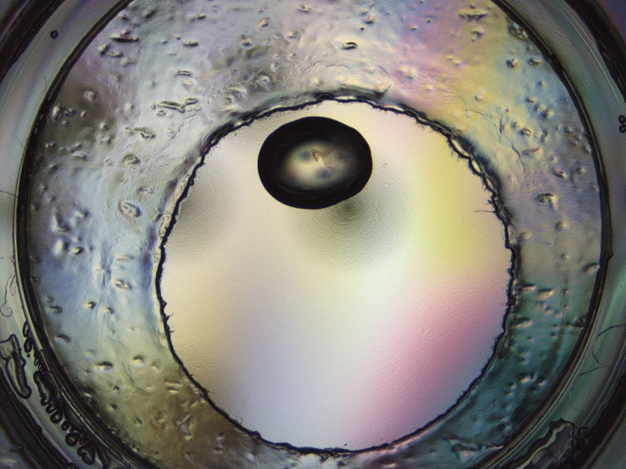 04m4_H7_ImagerDefaults_3.jpg
