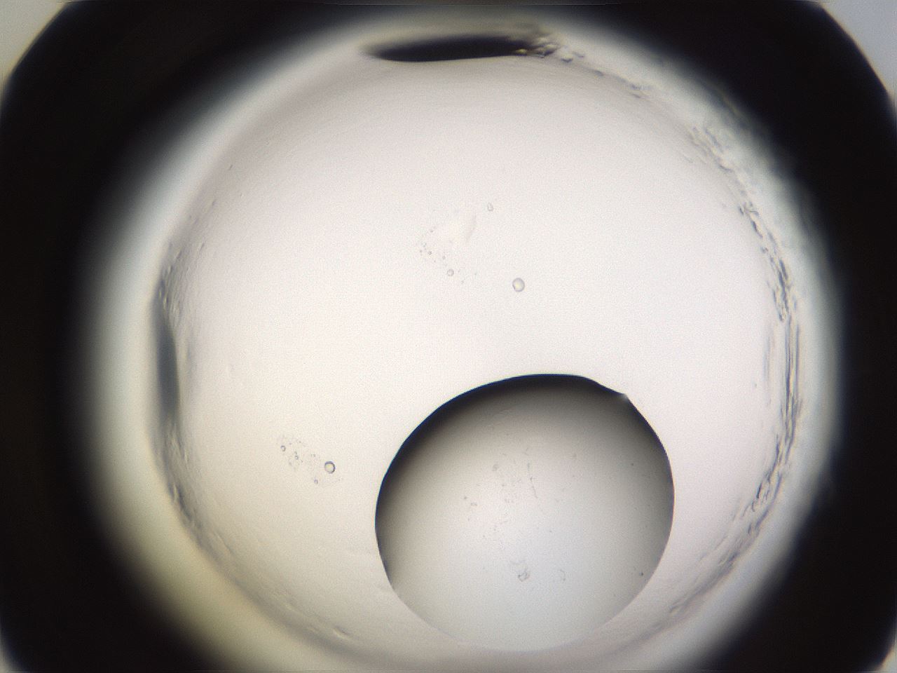 folderID637_plateID2637_batchID15326_wellNum46_profileID1_d2_r214039_ef.jpg