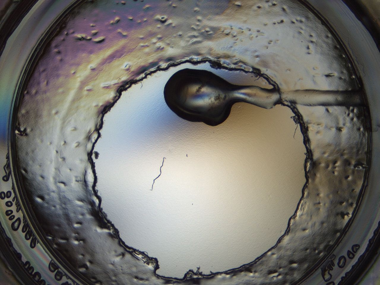 04m4_H8_ImagerDefaults_0.jpg