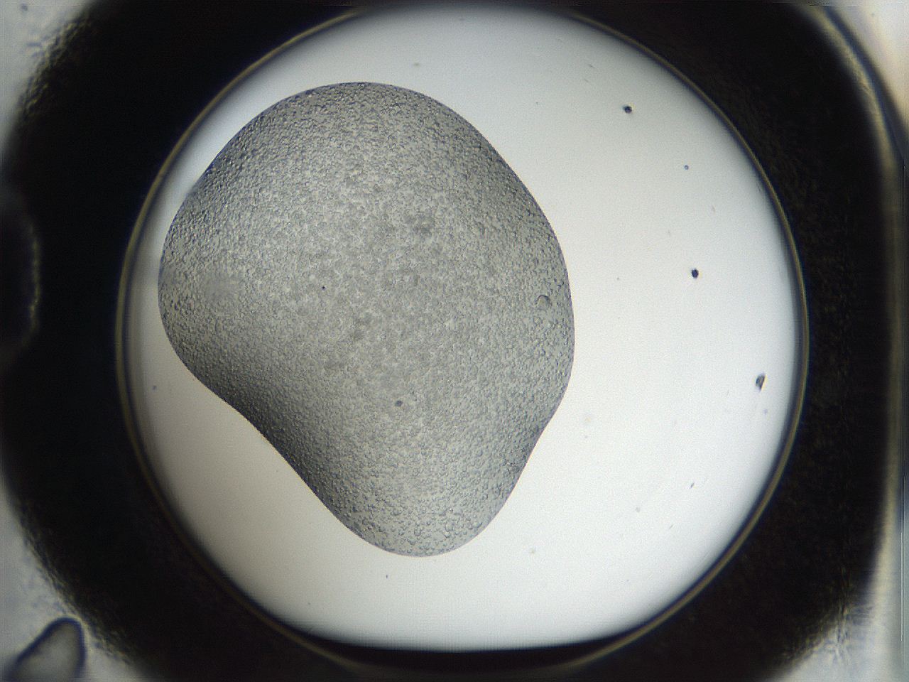 04m5_D11_ImagerDefaults_6.jpg
