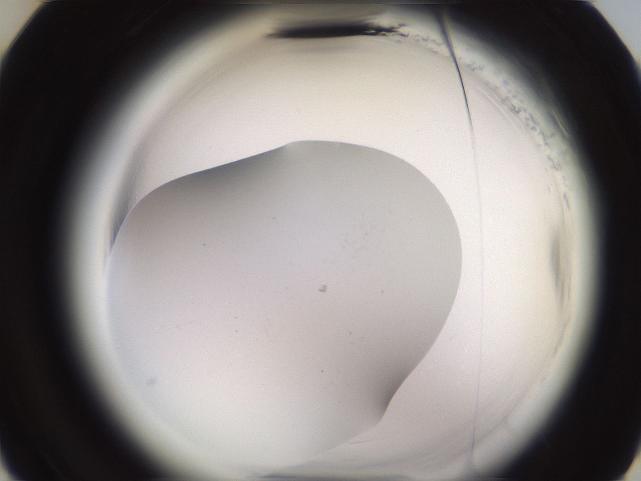 folderID638_plateID2638_batchID15035_wellNum19_profileID1_d3_r213095_ef.jpg
