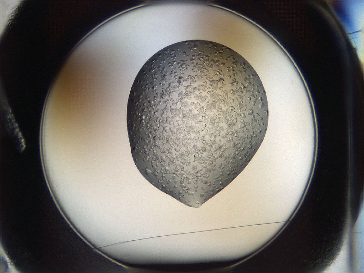 04m6_A2_ImagerDefaults_9.jpg