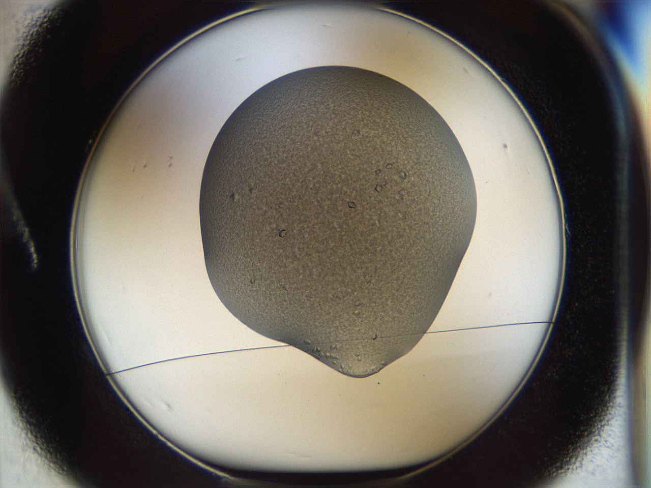 04m6_A1_ImagerDefaults_8.jpg