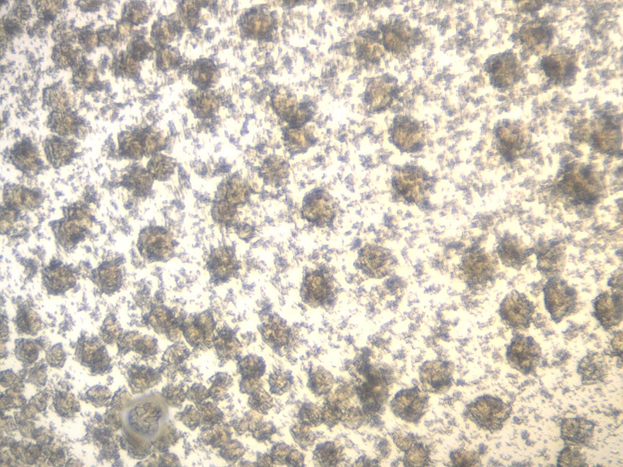 04m7_D7_ImagerDefaults_7.jpg