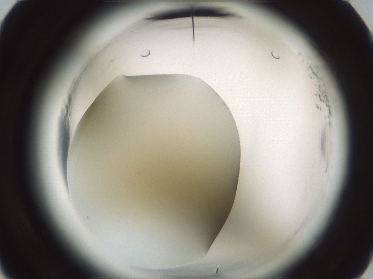 folderID639_plateID2639_batchID14377_wellNum17_profileID1_d3_r212513_ef.jpg