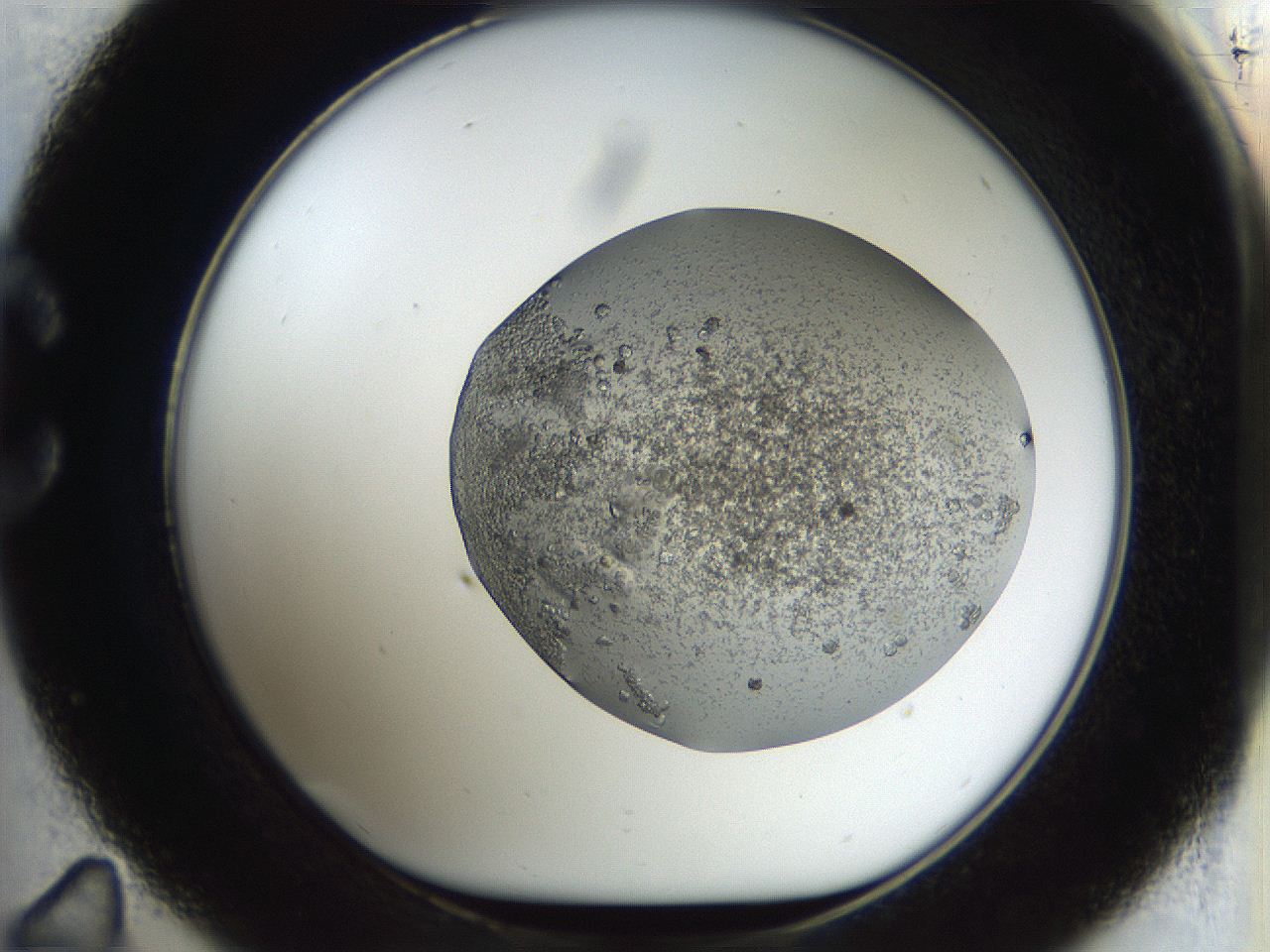 04m7_C11_ImagerDefaults_7.jpg