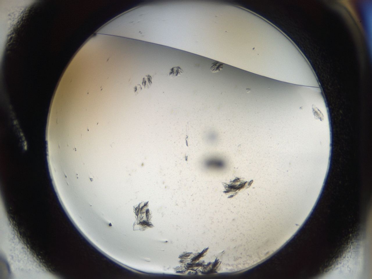 04m8_A8_ImagerDefaults_6.jpg