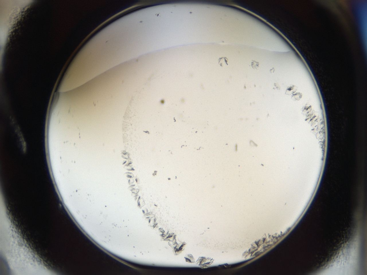 04m8_A9_ImagerDefaults_6.jpg