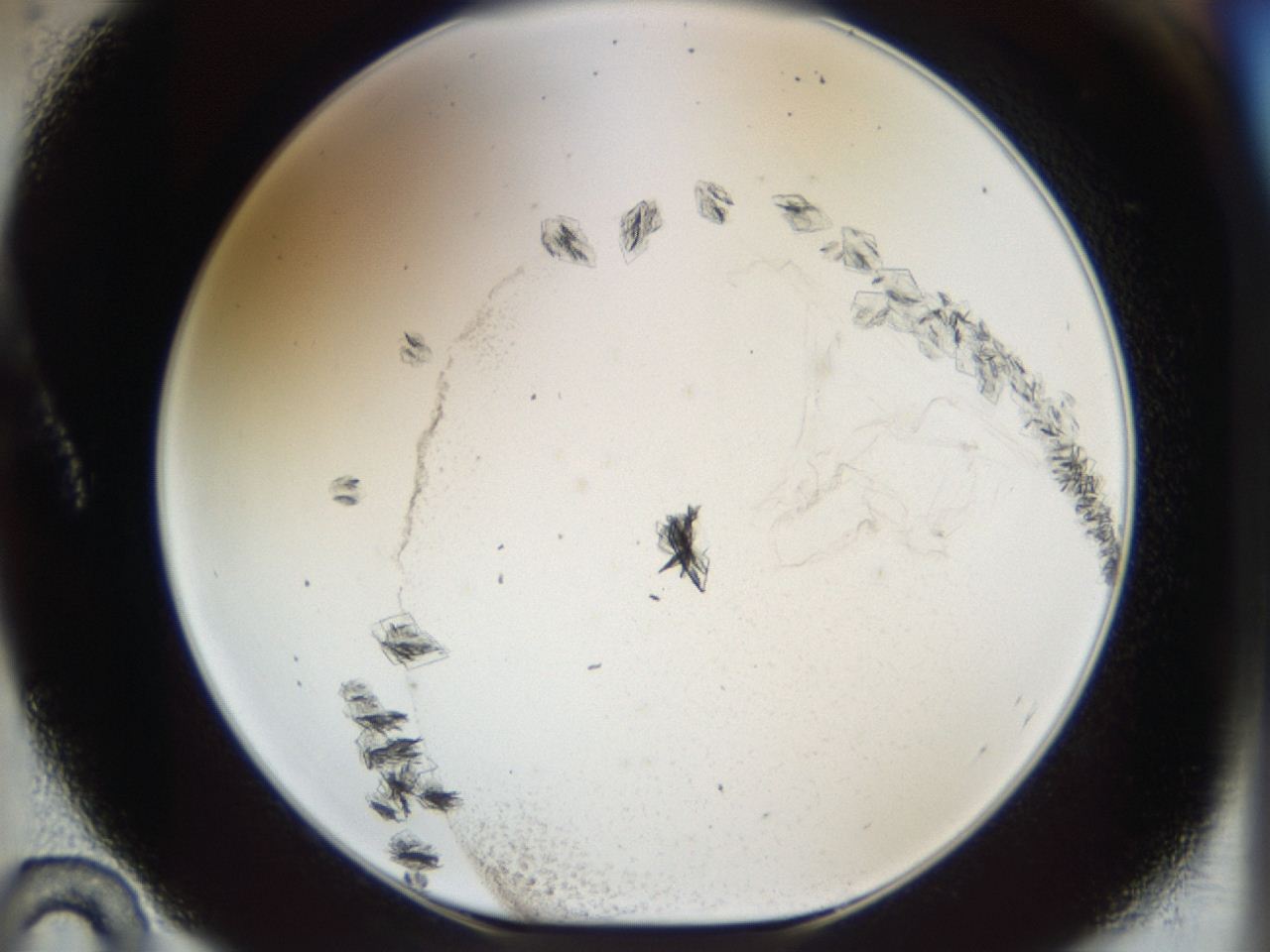 04m8_A10_ImagerDefaults_6.jpg